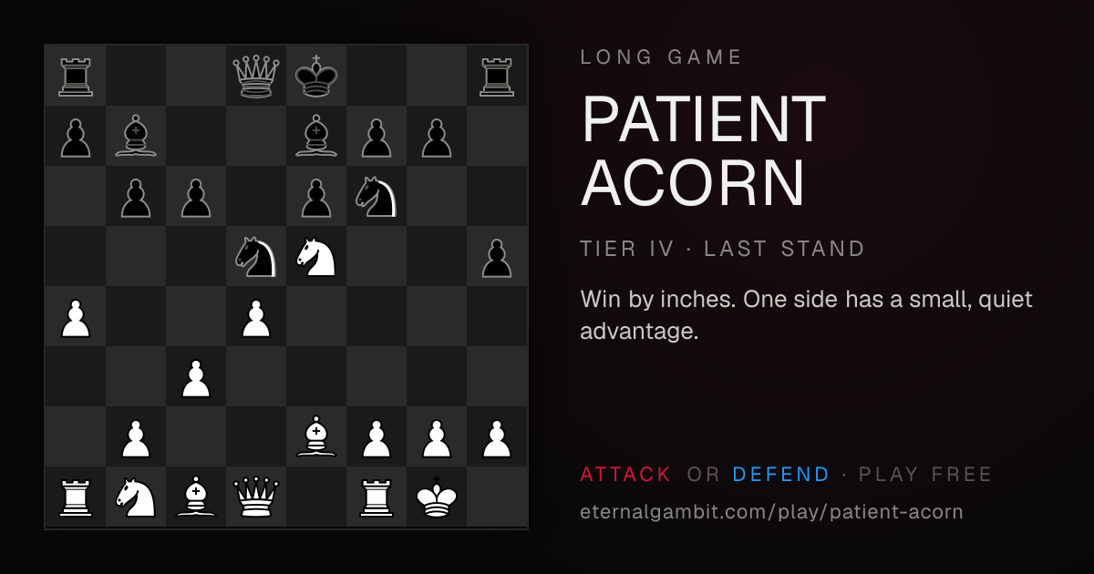 Long Game: Patient Acorn: the starting position